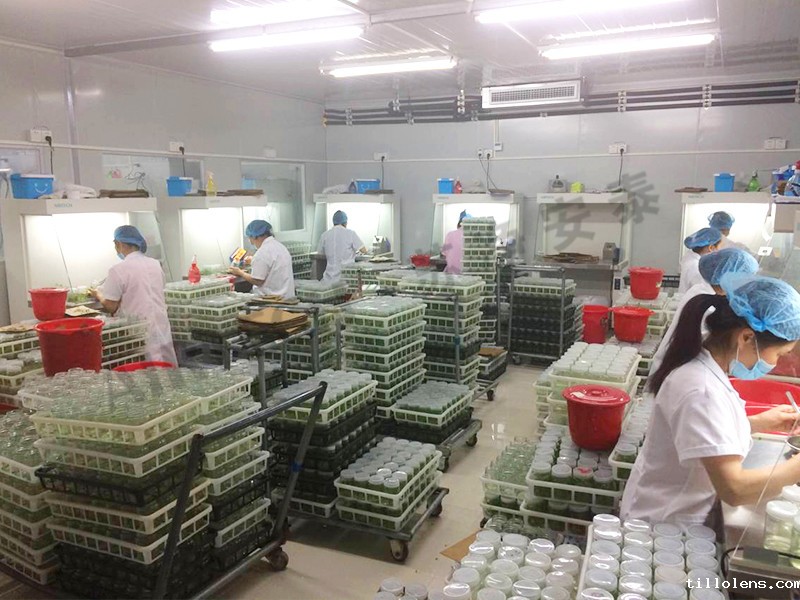 果树研究所工作台场景